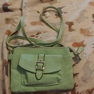 Rosetti mint purse